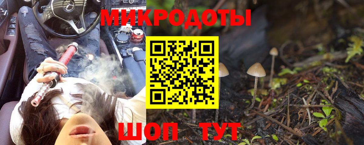 Псилоцибиновые грибы Psilocybine cubensis Клин
