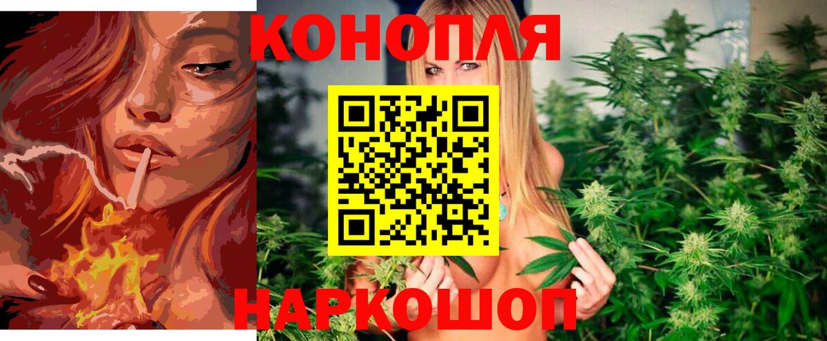 Марихуана планчик  Вход с VPN  Клин  Конопля индика 